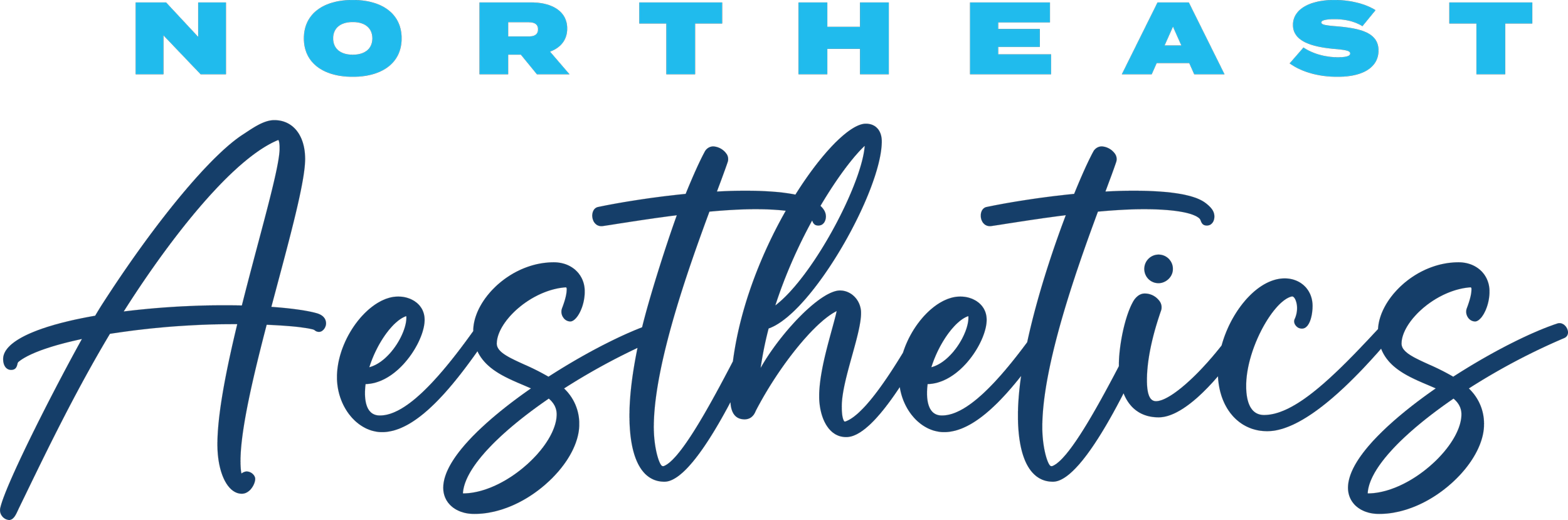 Northeast Aesthetics logo